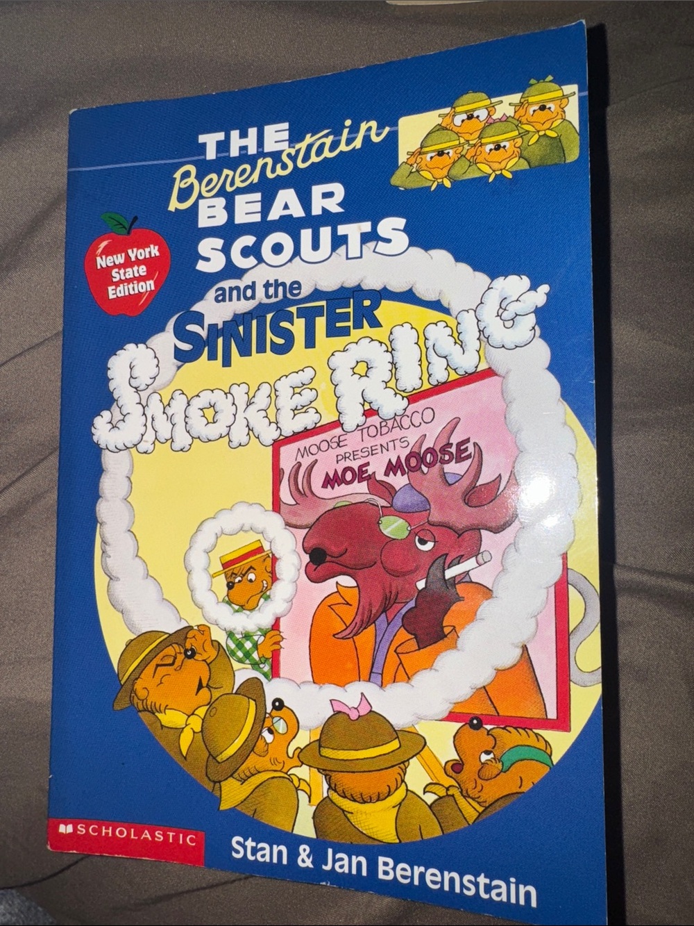 Vintage 1997 Berenstain Bear Scouts Sinister Smoke Ring NY State Edition